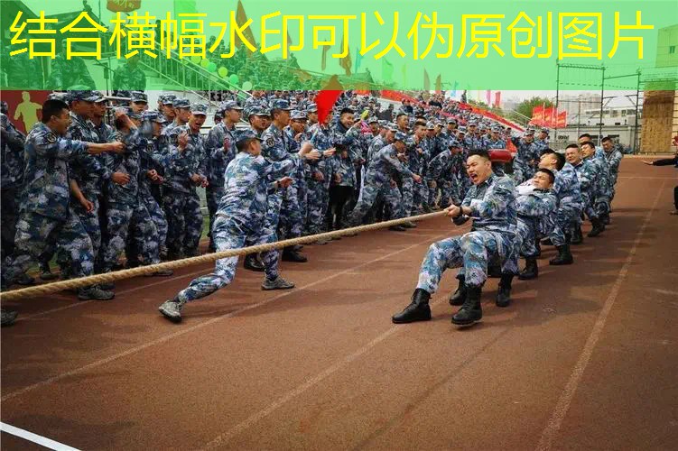 游戏原画设计名字怎么取