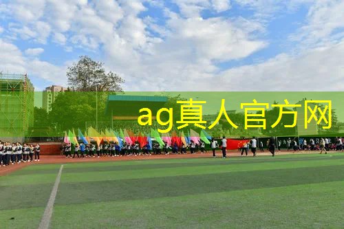病娇3d追捕类游戏有哪些