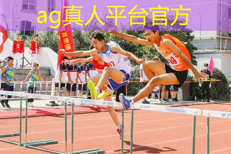 新国光的3d游戏