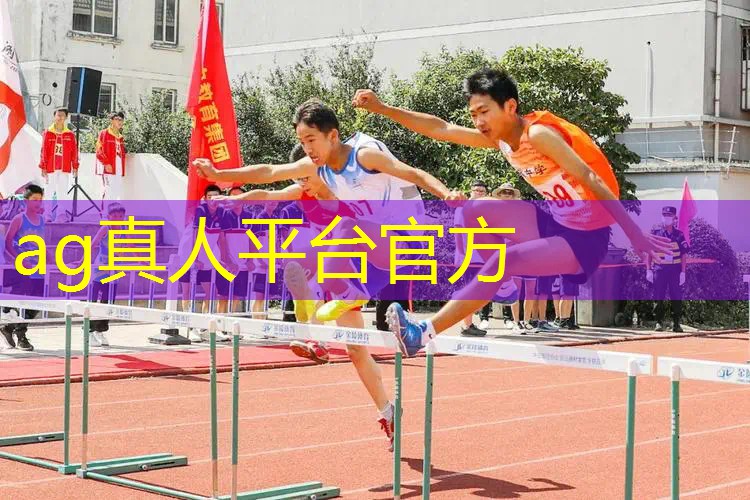 宝宝巴士最好的3d游戏