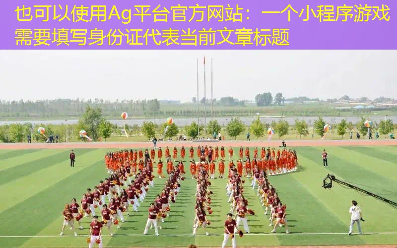 一个小程序游戏需要填写身份证