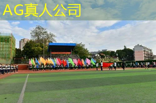骑士战斗小程序怎么玩游戏