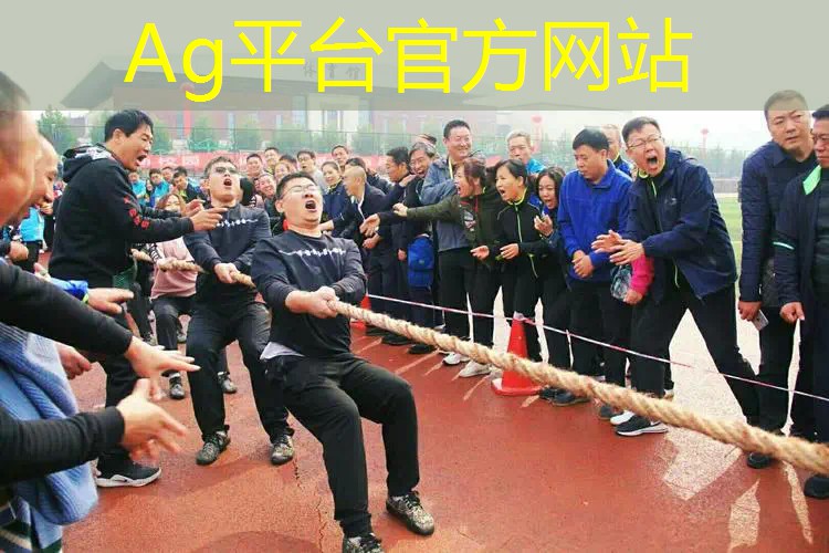 口袋喵喵游戏3d手游