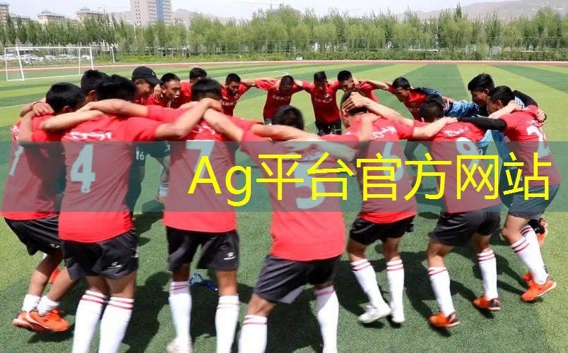 青年电竞大赛：如何平衡游戏和学业之间的时间？