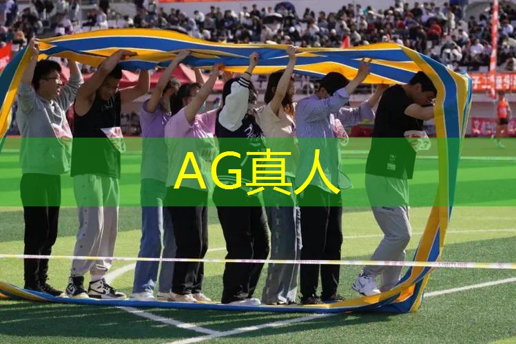 情感游戏程序是什么类型