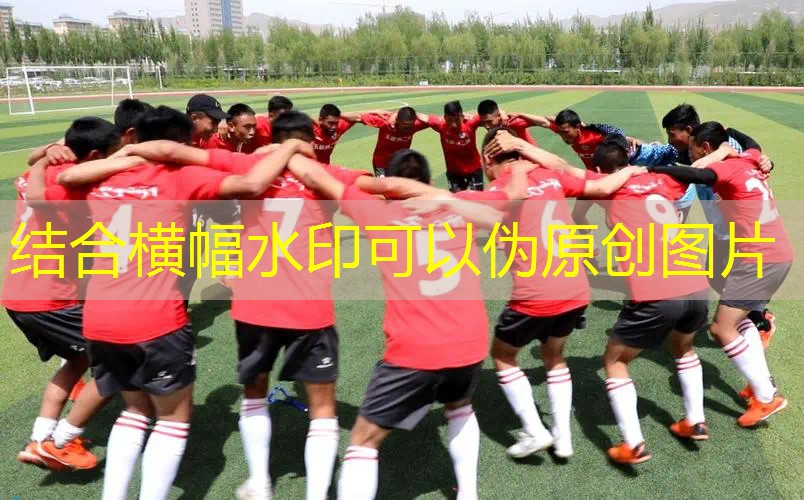 3d驾驶游戏公交车门怎么开