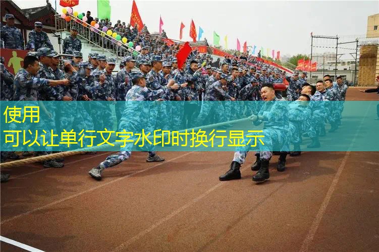 毛球游戏程序设计与实现