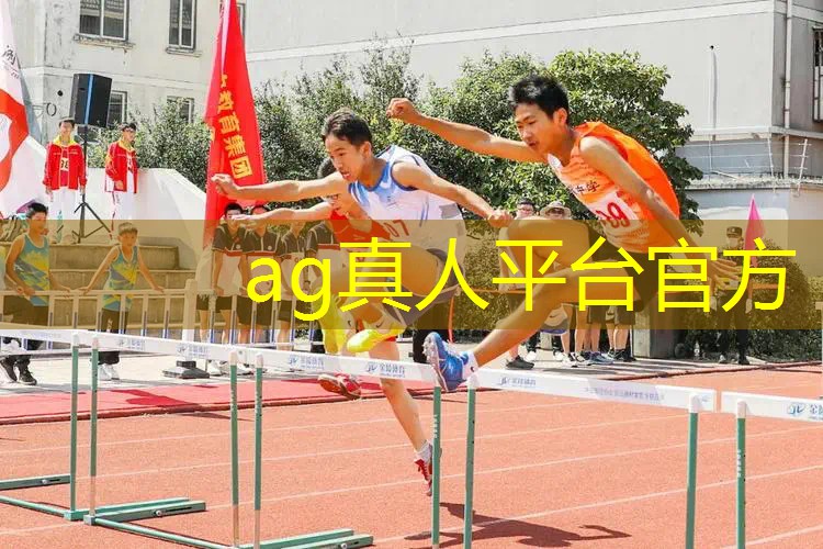 3d现实游戏叫啥游戏名字
