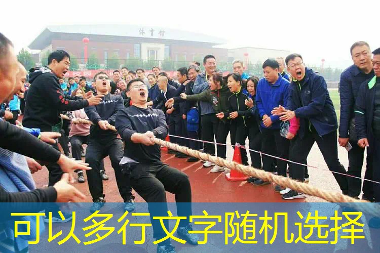 抓鸭子游戏小程序抖音入口