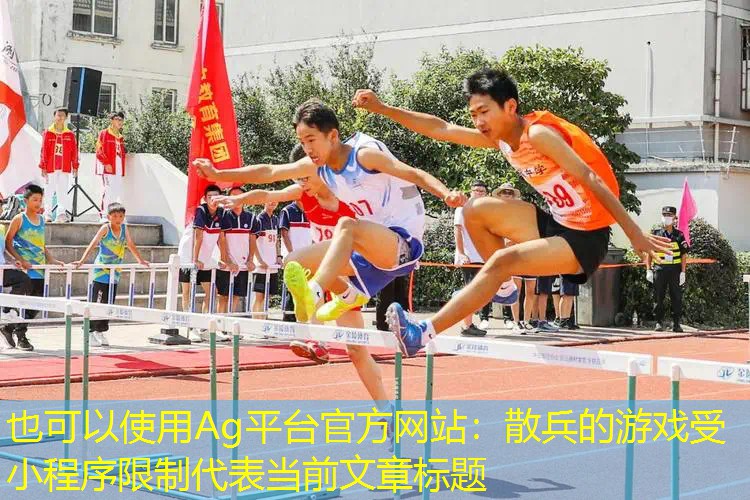 散兵的游戏受小程序限制