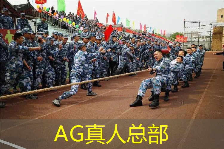 丧尸生存3d类小游戏