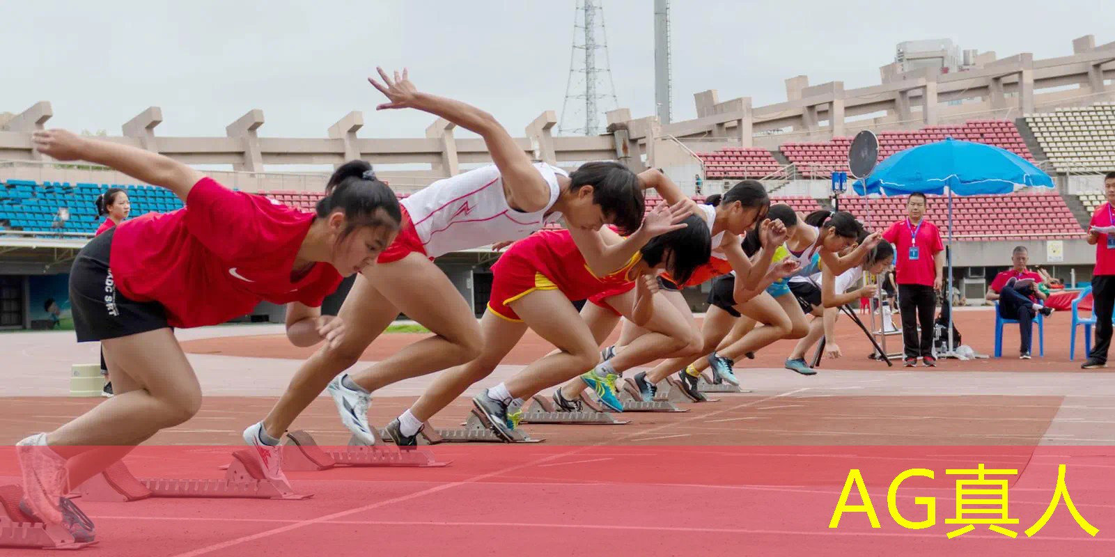 权力的游戏原画哪里看