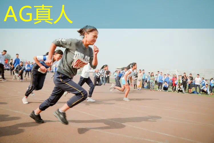 蛋仔3d探索游戏怎么玩