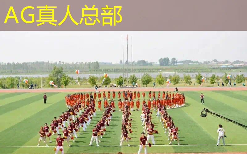 斑马游戏策划公司简介