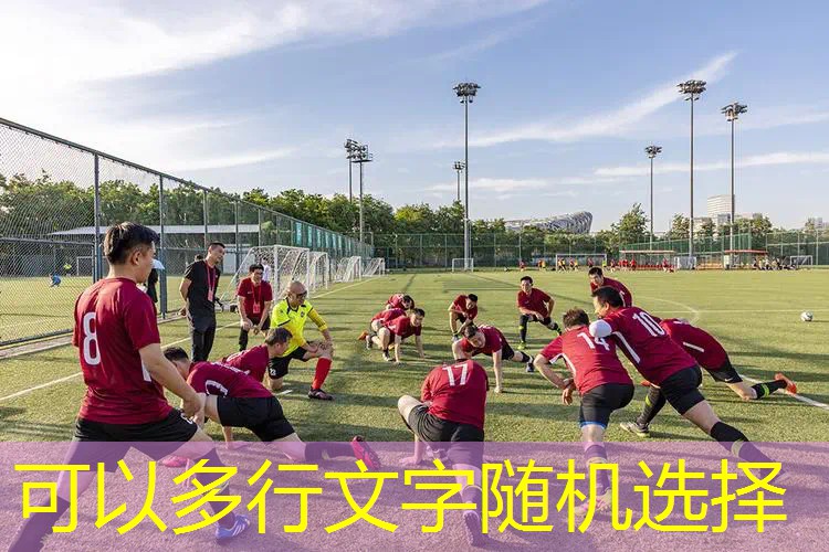 手机3d养老游戏推荐