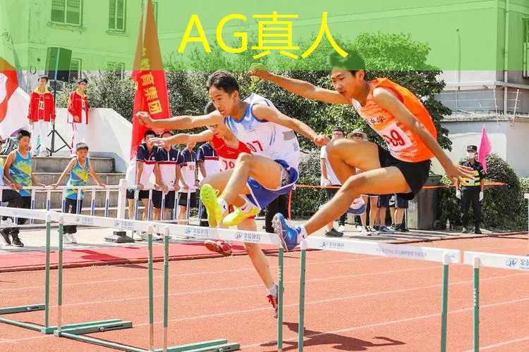 游戏原画设计与动画专业哪个好
